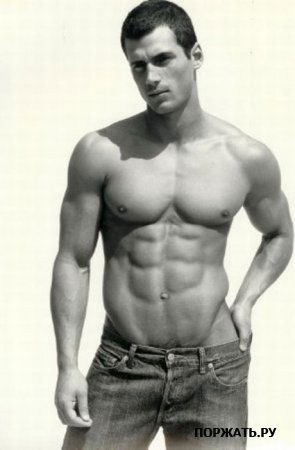 Шама Нольдевятый