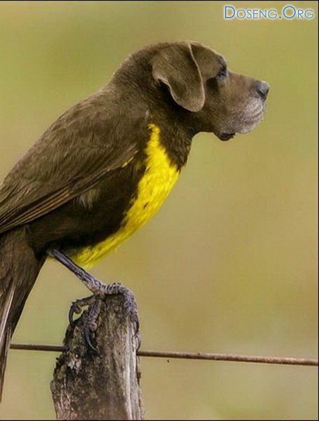 Александр Г