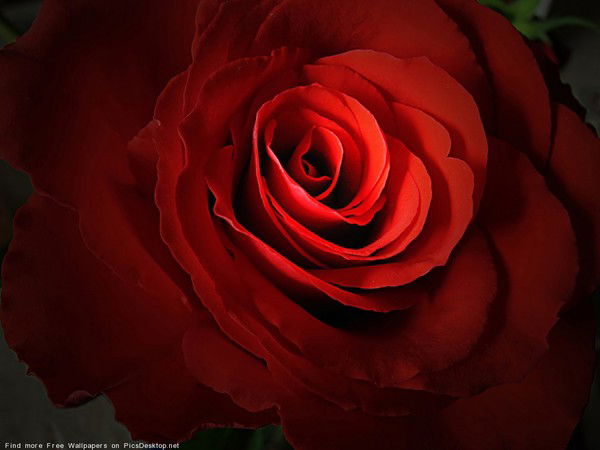 Сергей И Мария Кормановские