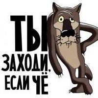 Владимир Селянин