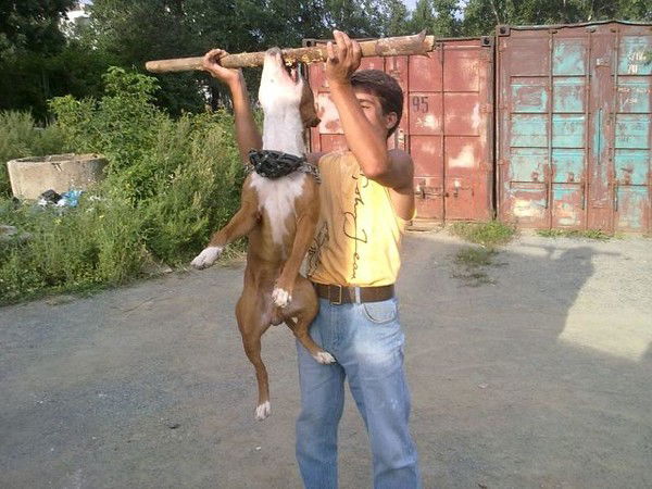 Евгений Селезнёв