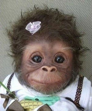 Катерина Коломыцева