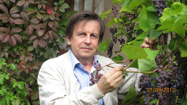 Алексей Виноградов