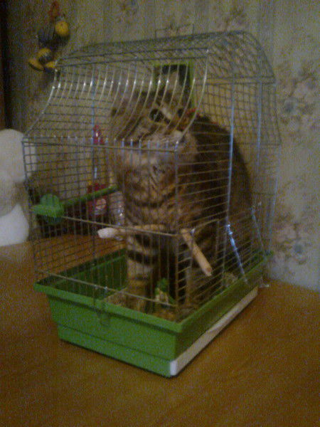 Сергей Кожевников