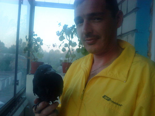 Виталий Козак