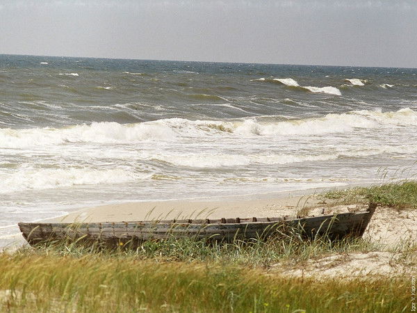 Татьяна Иващенко