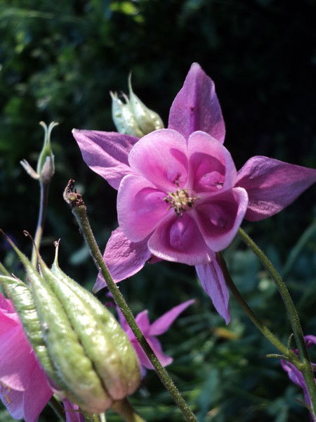 Светлана Ковальская