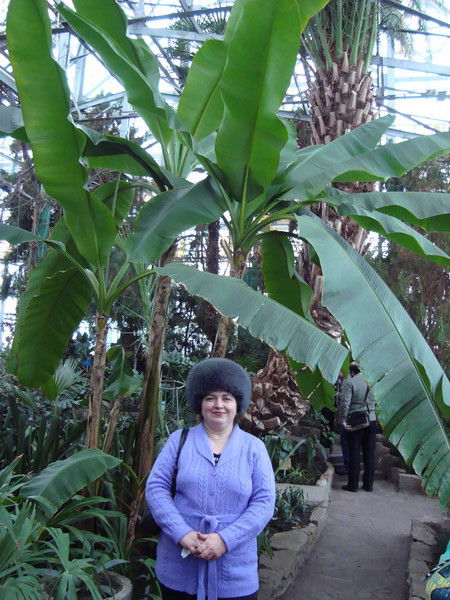 Ираида Гаврилова