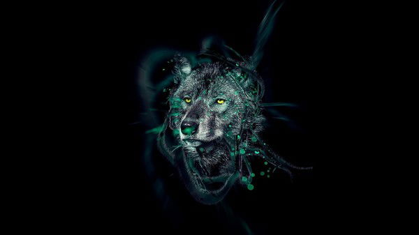 Влад Кислый