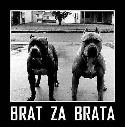 Артём Новиков