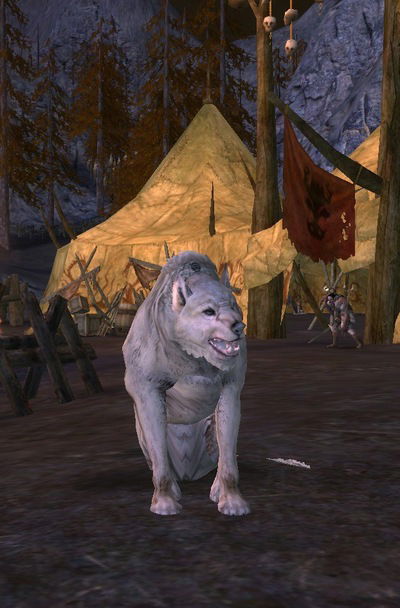 Эмиль Садыгов