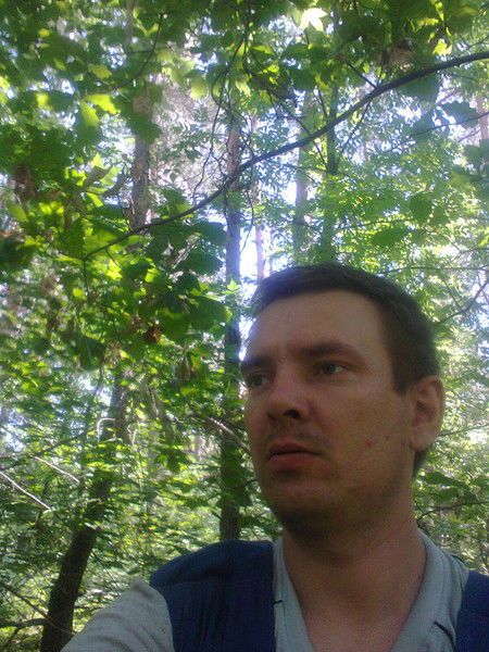 Илья Максимов