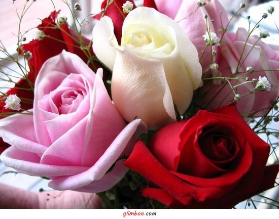 Елена Корешкова