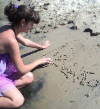 Светлана Валунова