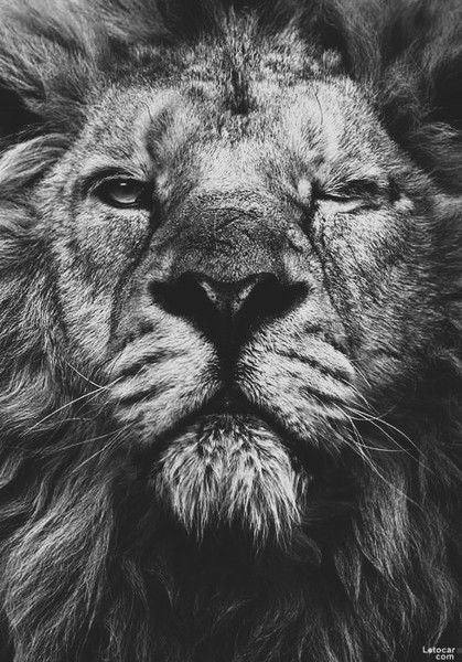 Ксения Кочурина