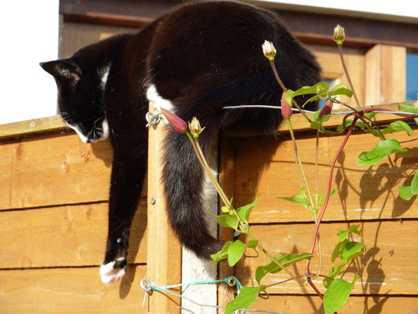 Татьяна Киргизова