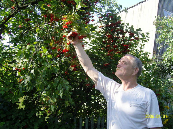 Владимир Головин