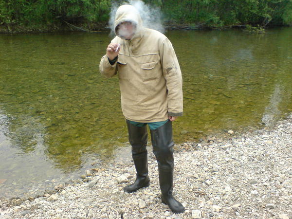 Анффис Пружжинин