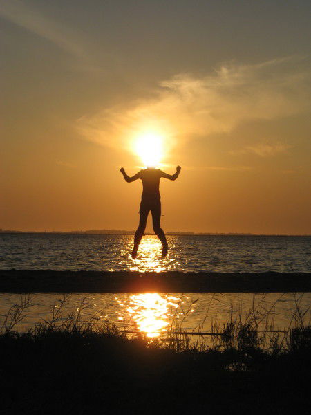 Алиса Полынь