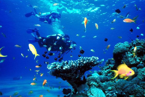 Мухаббат Таджибаевна