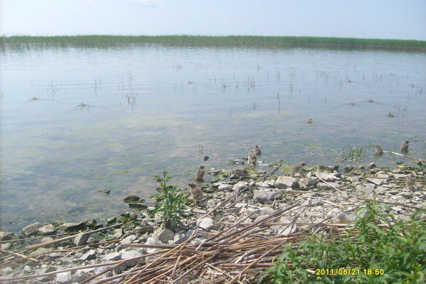 Женя Быченко