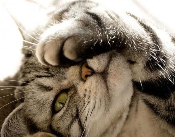 Илона Рябцева