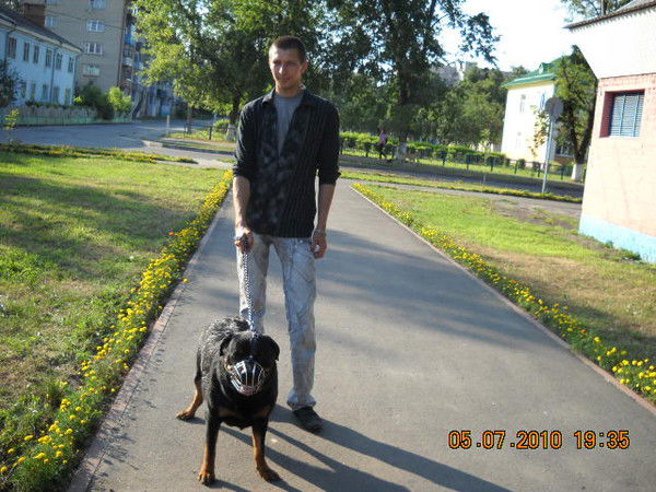 Александр Шмуляй