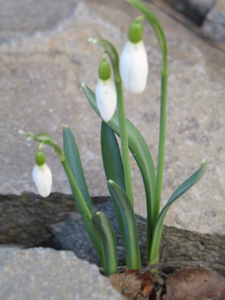 Наталия Бак