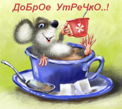 Елена Шахова