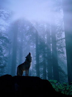 Владимир Марзалюк