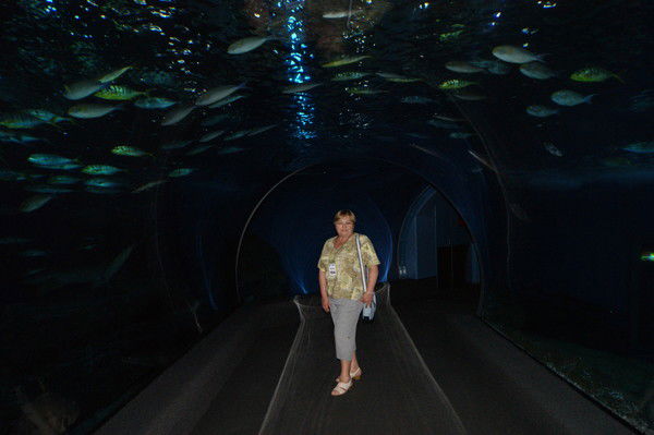 Валентина Сёмочкина