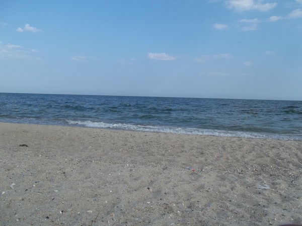 Алсу Галиева