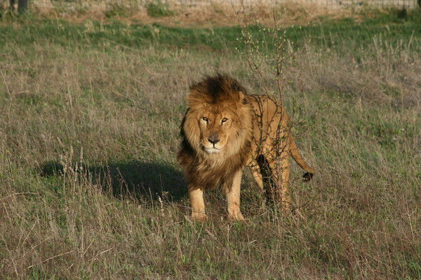 Светлана Пономарёва