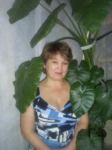 Галина Штейн