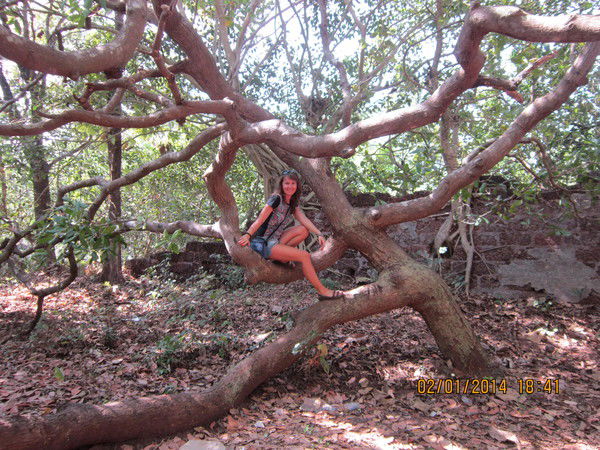 Таня Гребенникова