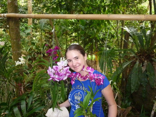 Елена Болек