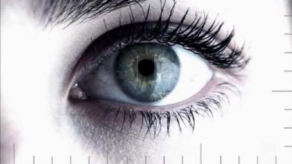 Константин Стрижеус