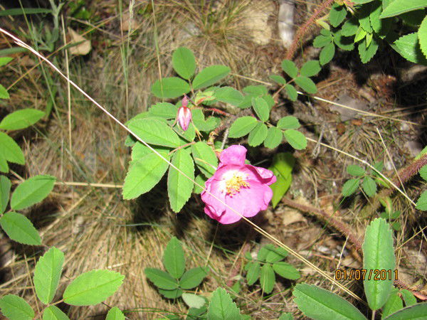 Оксана Торгашина