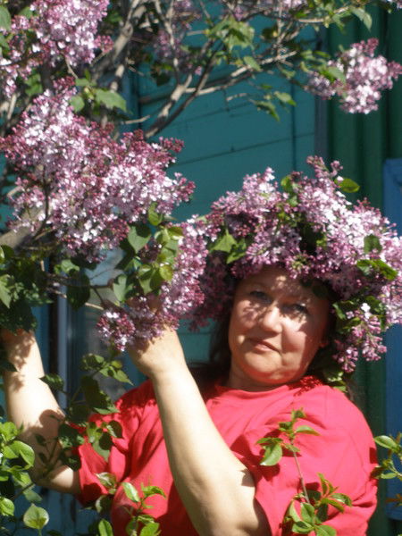 Елена Николаевна Смирнова