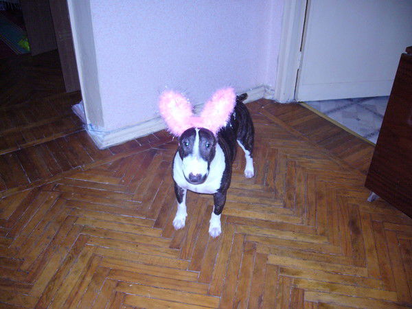 Надежда Власенкова