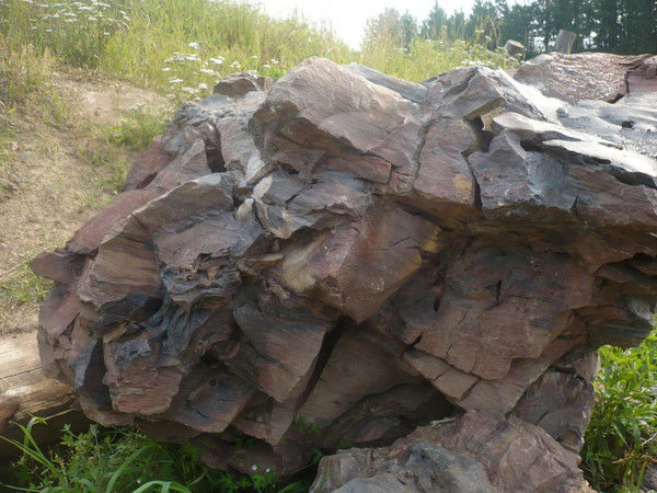 Вася Впасильев