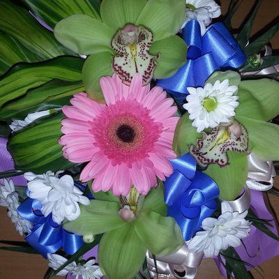 Алевтина Костякова