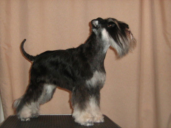 Елена Бехтерева