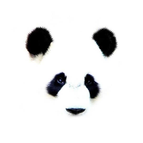 Дмитрий Воронин