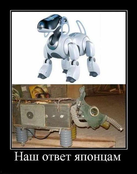 Дмитрий Петров