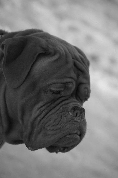 Елена Сигарёва