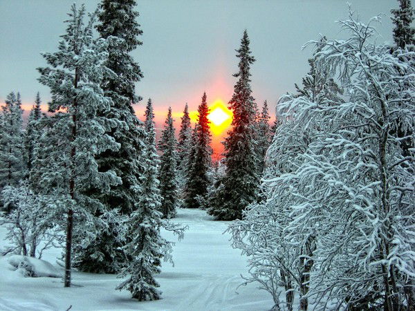 Николай Захаров