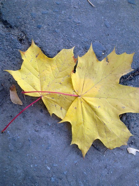 Ирина Вознюк