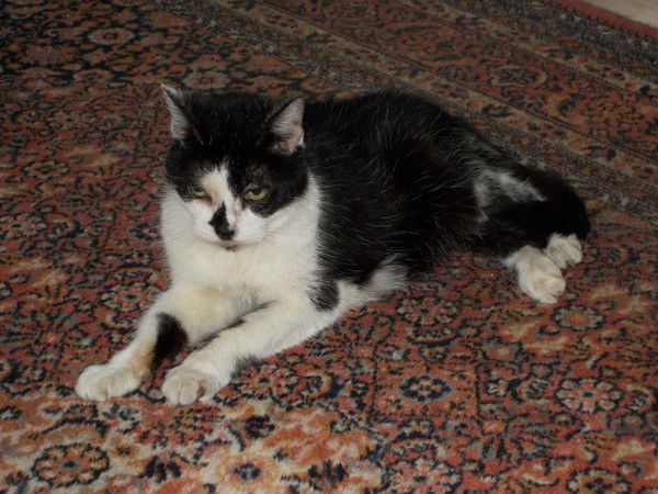 Людмила Бем