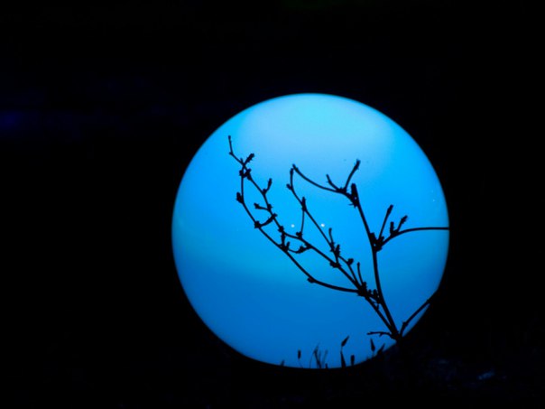 Кристина Тронова